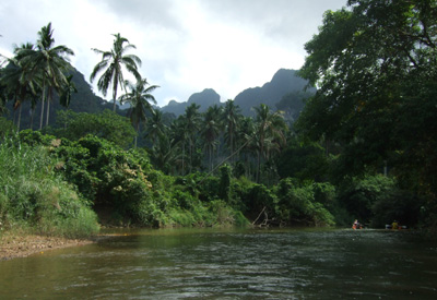 Südostasien, Thailand: Metropolen, Dschungel und Palmenstrände - Dschungellandschaft im Khao Sok Nationalpark 
